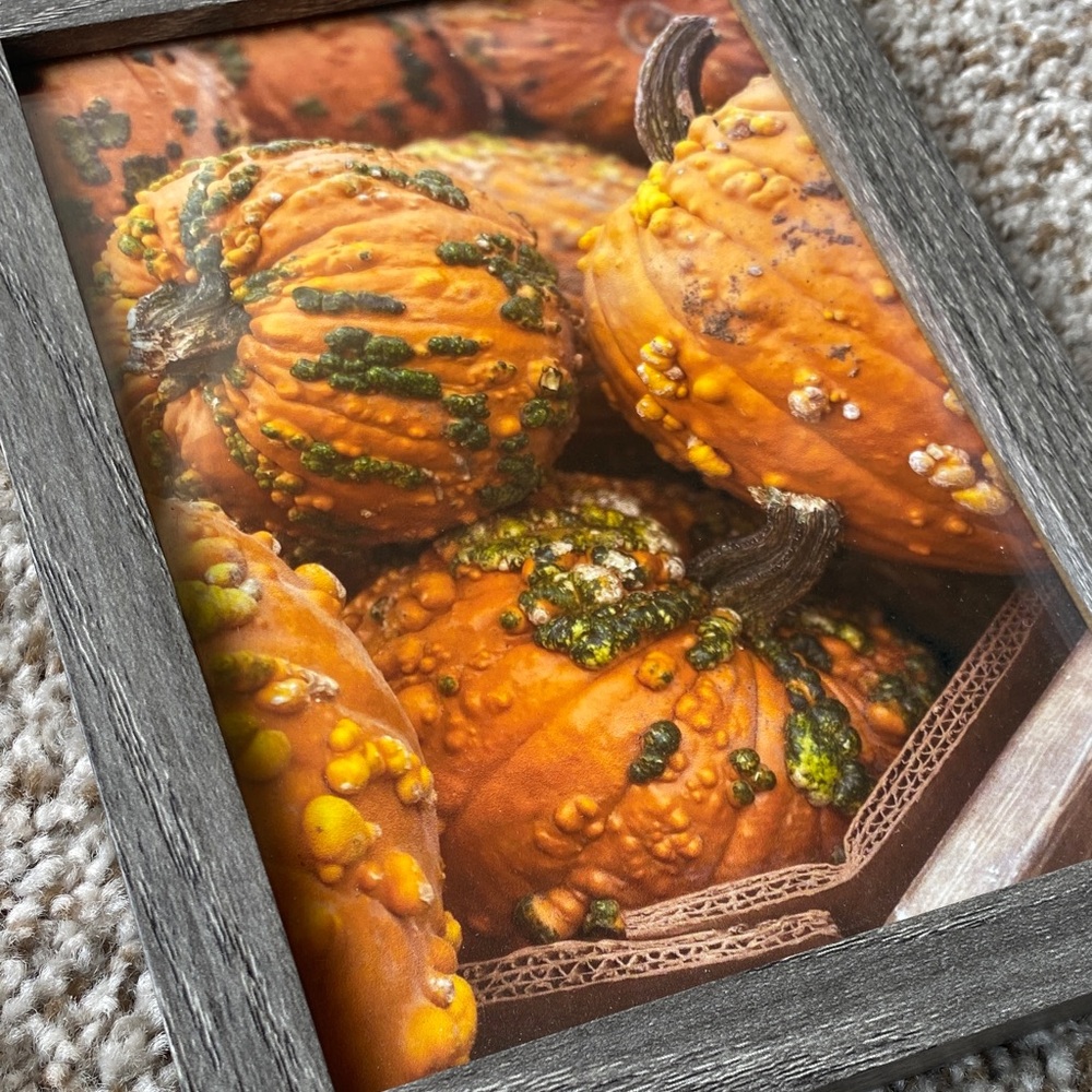 Original “Kroger Pumpkin Pallet” Photograph 5”x7” Print in Frame
